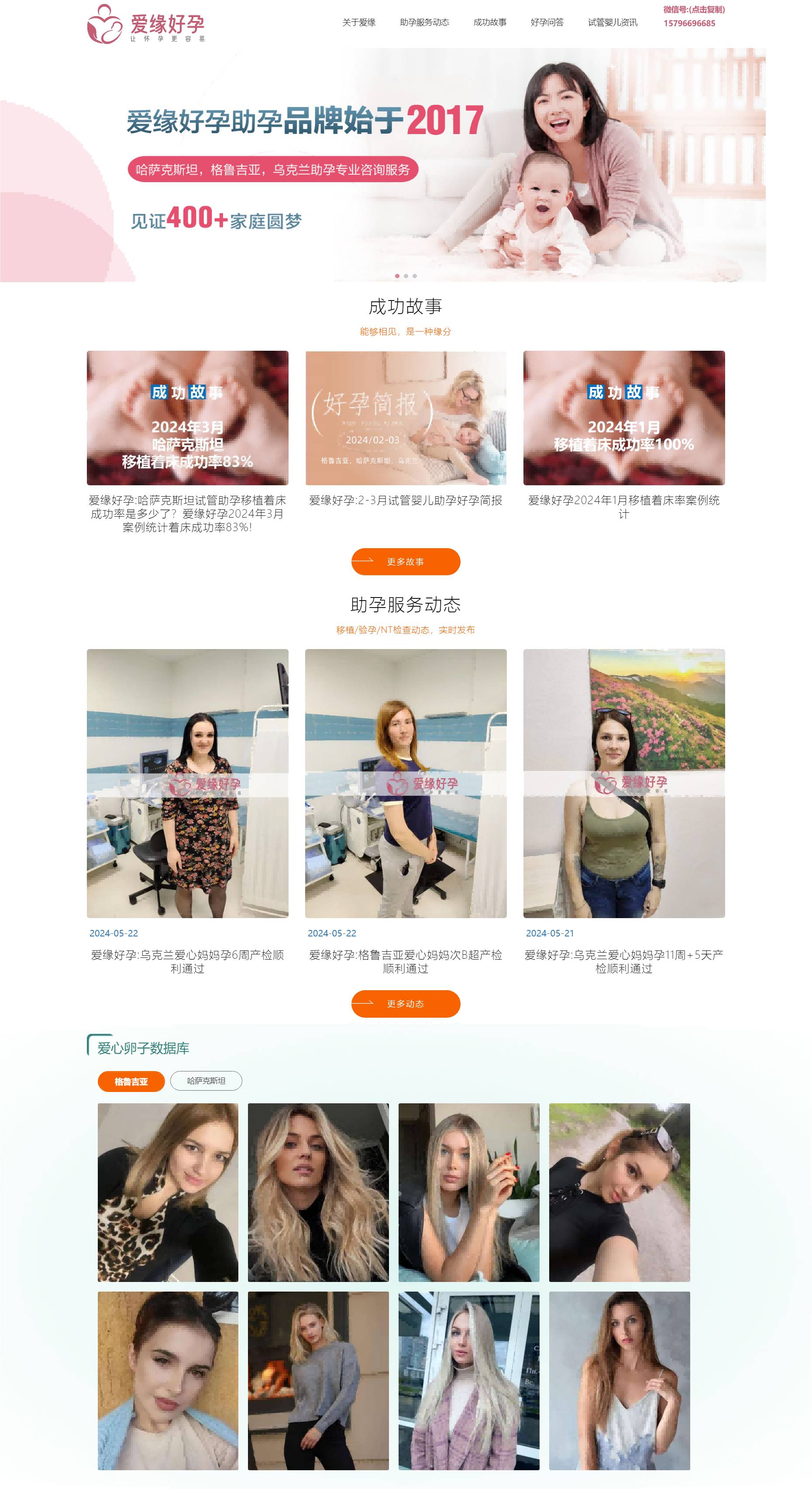愛(ài)緣好孕品牌網(wǎng)站建設(shè)案例